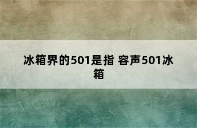 冰箱界的501是指 容声501冰箱